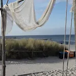 Great Crested Grebe Modern Retreat * Zingst