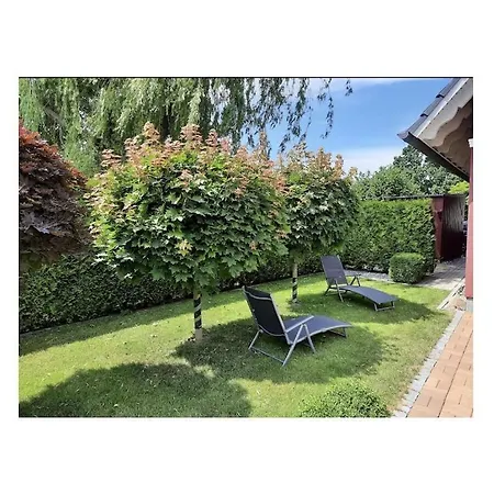 Great Crested Grebe Modern Retreat Holiday home Zingst
